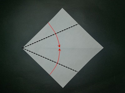 inside-reverse-folds-twice-Step 2