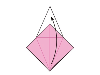 origami-crane-with-double-color11