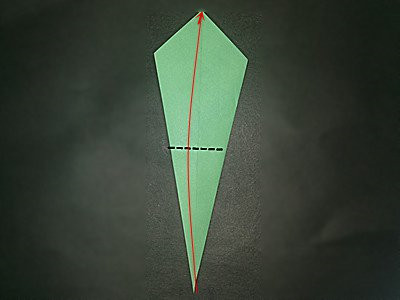 origami-scarlet-ibis-Step 4
