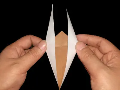 origami-vulture-Step 2-4